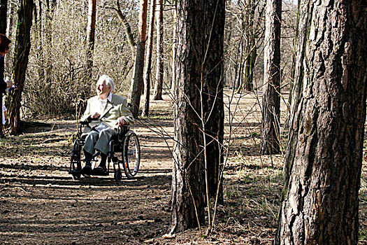 老人,轮椅,树林