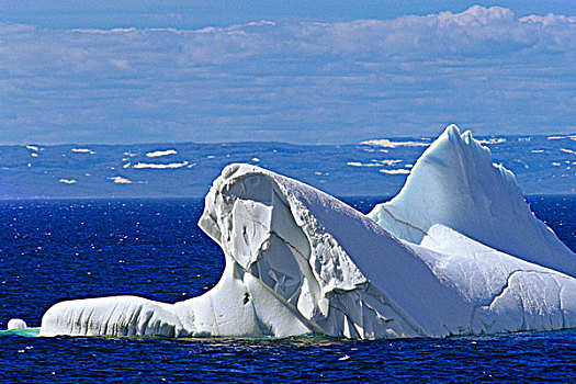 冰山,靠近,小湾,纽芬兰,加拿大
