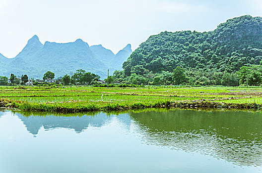 田园风光