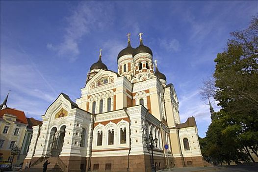 亚历山大涅夫斯基大教,塔林,爱沙尼亚,波罗的海国家,北欧