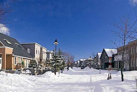 雪,住宅区