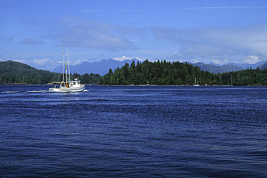 加拿大,不列颠哥伦比亚省,温哥华岛,海洋,渔船