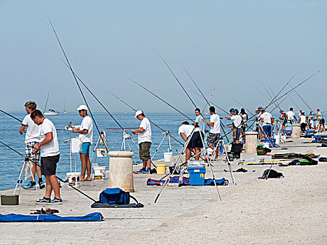 钓鱼,水岸,克罗地亚
