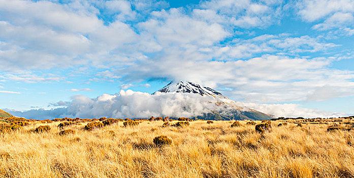 层状火山,塔拉纳基,云,艾格蒙特国家公园,新西兰,大洋洲