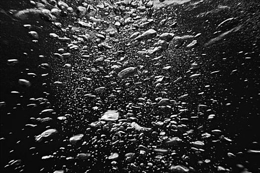 水下视角,气泡,上升,表面,黑白照片