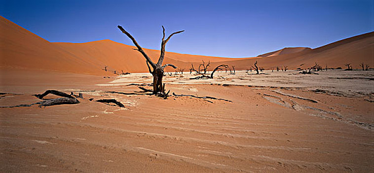 索苏维来地区,纳米布沙漠