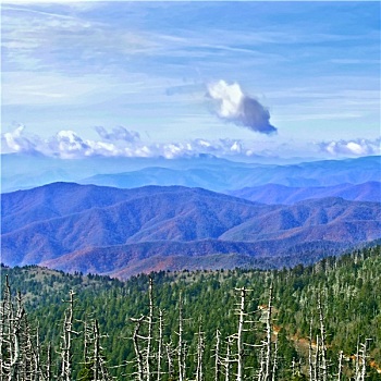 大烟山,美国