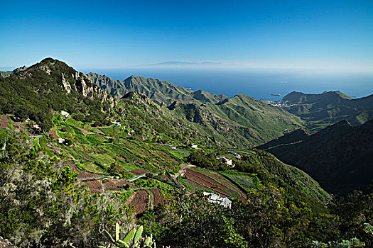 山,特内里费岛,西班牙