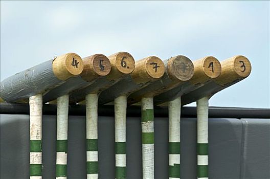 球衣,槌棒,高,目标,战利品,2008年,锦标赛,霍尔兹凯尔琛,巴伐利亚,德国,欧洲