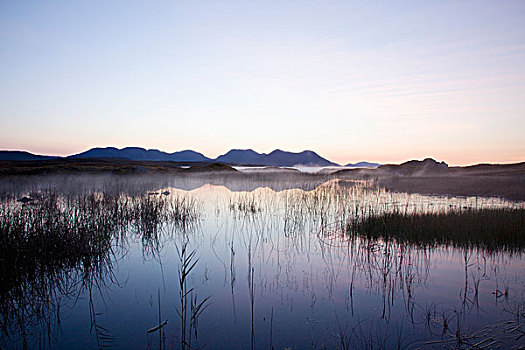 日出,上方,湿地,湖,克利夫登,戈尔韦郡,爱尔兰