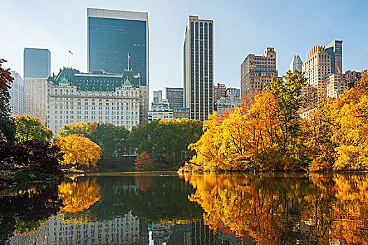 美国纽约中央公园秋天一景