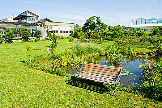 花园,长椅,水池,鲜明,绿色,草地