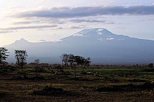 肯尼亚,安伯塞利国家公园,山,乞力马扎罗山