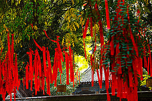 甘肃天水南郭寺