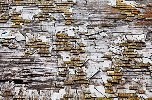 谷仓,屋顶,腐烂,艾伯塔省,加拿大