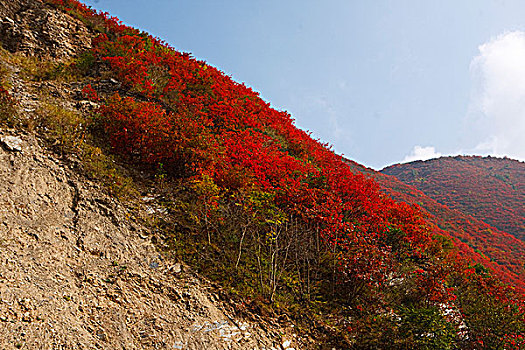 陕西凤县秦岭