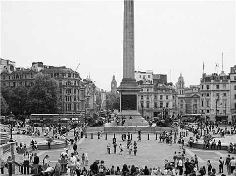 黑白,特拉法尔加广场,伦敦
