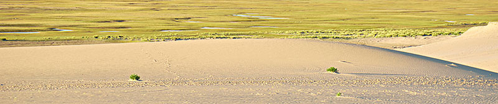 青海,青海湖,沙漠