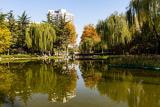 城市秋景