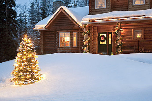 照亮,圣诞树,正面,原木,家,装饰,圣诞装饰,阿拉斯加,数码