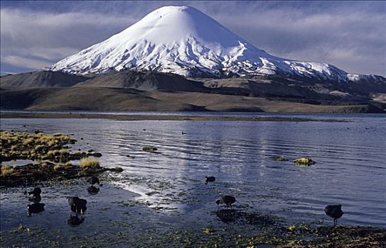 火山,拉乌卡国家公园,智利