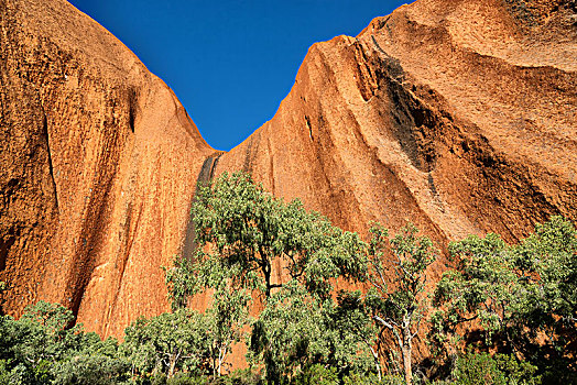 澳大利亚,内陆地区,峡谷,树,靠近,山,自然