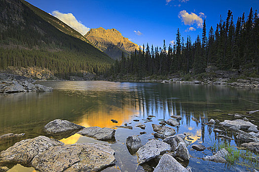 湖,山,背景,马掌,碧玉国家公园,艾伯塔省,加拿大