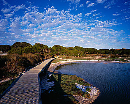 桥,岛屿,佩思,澳大利亚