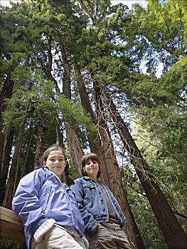 女孩,肖像,男孩,正面,巨大,红杉,穆尔国家森林纪念地,加利福尼亚,美国