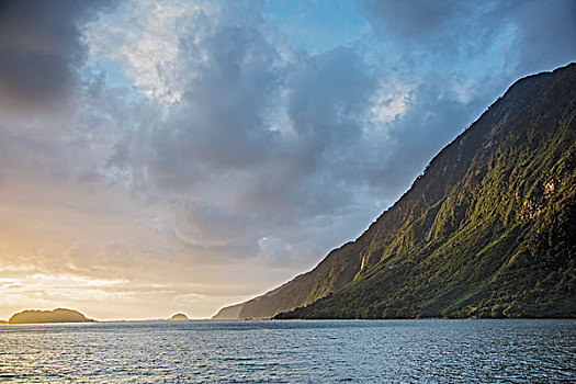 平和,海洋,悬崖,怀疑,声音,南岛,新西兰
