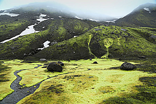 冰岛,溪流,苔藓,下雨,绿色,雪,残留