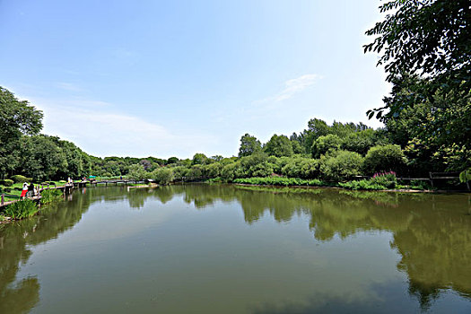 太阳岛天鹅湖