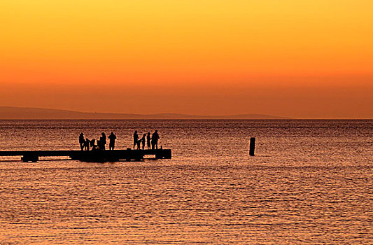 人,捕鱼,码头,日落,澳大利亚