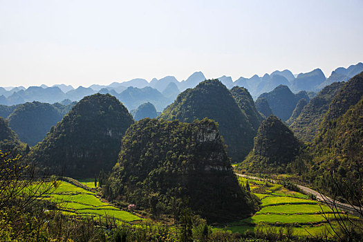 万峰林春色