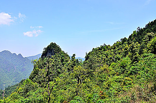 莲花山