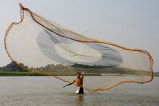 捕鱼,河,孟加拉,一月,2009年