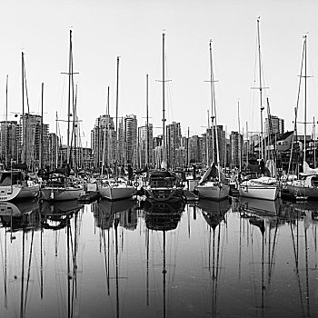 摩天大楼,船,反射,水中,码头,温哥华,不列颠哥伦比亚省,加拿大
