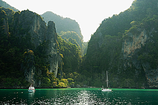 船,玛雅,湾,围绕,悬崖,茂密,树,泰国