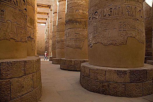 一个,男人,站立,卡尔纳克神庙,路克索神庙,埃及