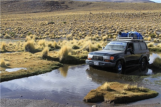汽车,困住,水中,乌尤尼盐沼,玻利维亚