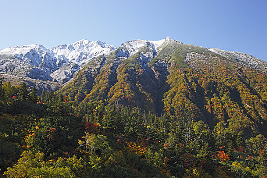 山