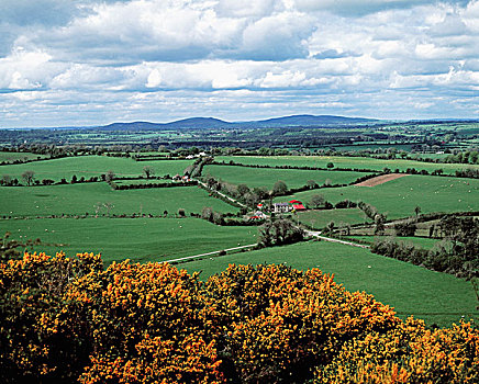 农田,靠近,爱尔兰
