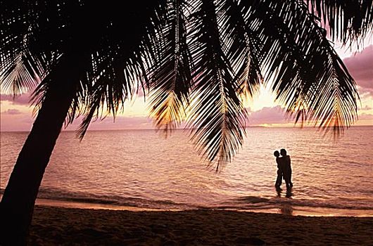 加勒比海,洪都拉斯,海湾群岛,日落,剪影,海洋,水,棕榈树,海滩