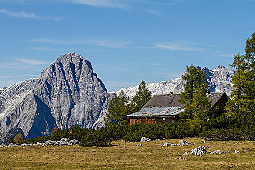 山区木屋,正面,山,上奥地利州,奥地利,欧洲