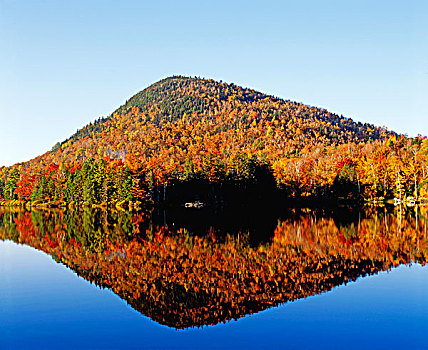 秋色,反射,水中,东方镇,魁北克,加拿大
