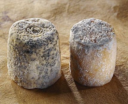 夏洛莱牛,法国,山羊乳酪