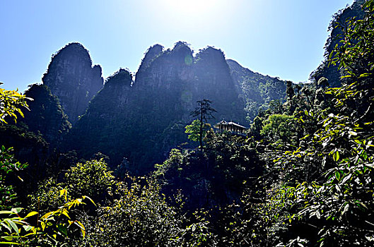 莲花山