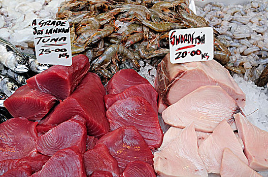 英格兰,伦敦,城区,旗鱼,斯里兰卡,金枪鱼,出售,鱼贩,货摊,博罗市场