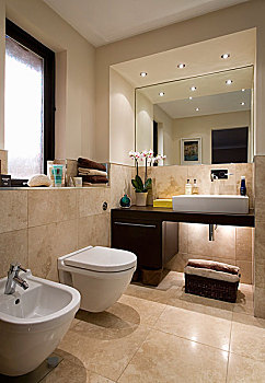 镜子,高处,盥洗池,架子,现代,浴室,卫生间,坐便器,仰视,窗户