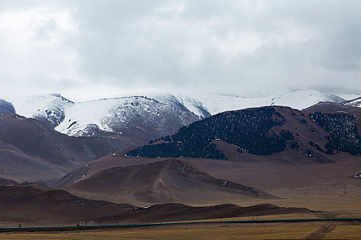 雪景